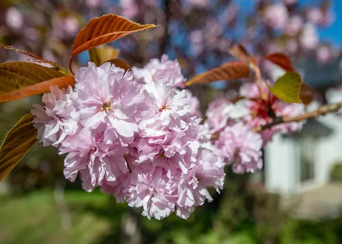 Semesterbostad Large Sleeping 10. Free Use Of Pool